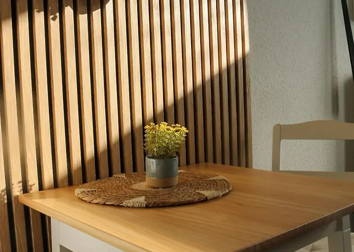 Schaebu! Zwischen Uni & Zentrum